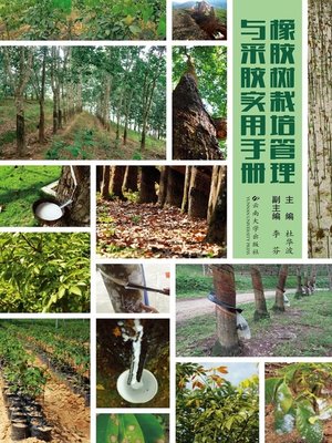 cover image of 橡胶树栽培管理与采胶实用手册 (Handbook for Rubber Tree Cultivation and Propolis Collection)